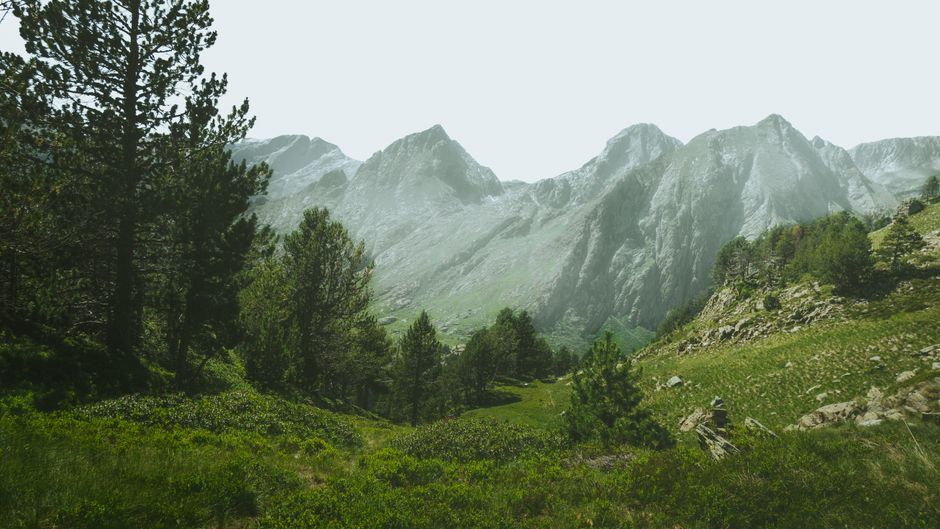 Forêts et sommets des Pyrénées, espaces naturels protégés